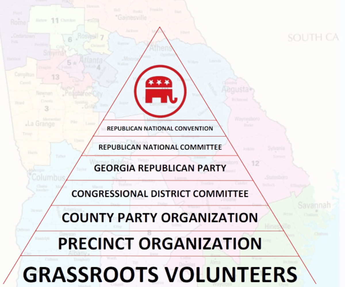 Overview of Georgia Political Organization and the Republican Party Structure